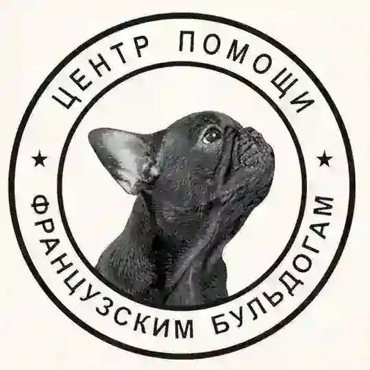 Французский бульдог. Центр помощи французским бульдогам frenchbull_help