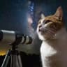 КотьМос🚀
