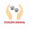 СПАСЕМ ЖИЗНЬ | Волонтерское движение в защиту животных