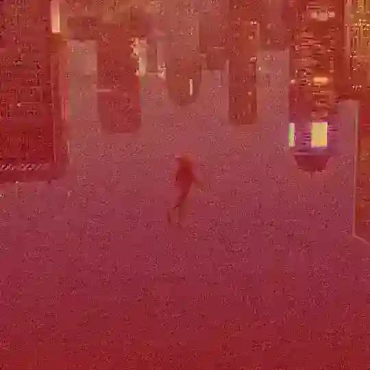 Spider’s Degens