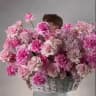 Spirid of Blossom
