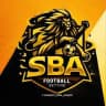 🏆 Sport Bets Analyst | Achievements