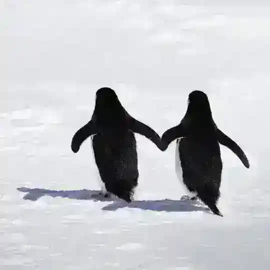 كفخه إدراك: