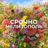 Срочно Мелитополь