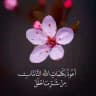 مِوَاسَـــــاةْ سَــمْعيَّـــــة | قُـــــرآنٍ ♥️