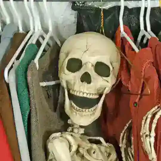 Скелеты в шкафу