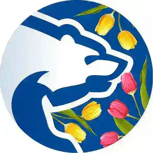 ЕДИНАЯ РОССИЯ - СТАРОБЕШЕВО, ДНР