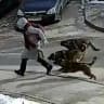 STOPDOG24