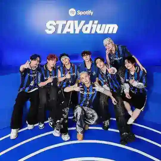 Мир Stray Kids