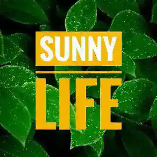 Sunny Life ☀️