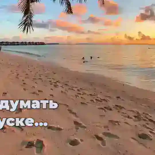 SUNTOUR ✈️ турагентство Profile