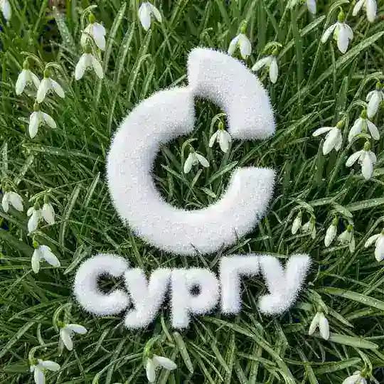 СурГУ | Сургутский государственный университет
