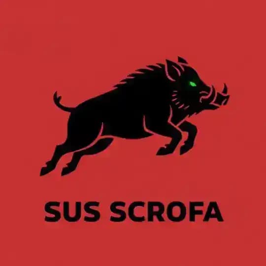 SUS SCROFA