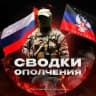 Сводки ополчения