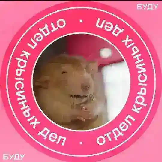HR | Кофе и вакансии