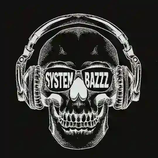 سیستم باز systembazzz