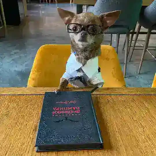 #книгиотрекса