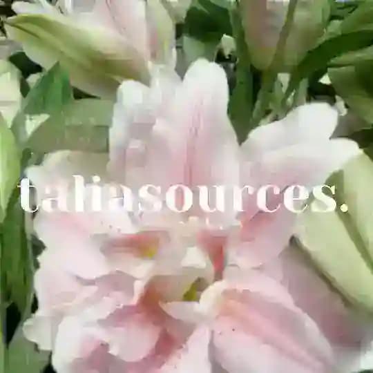 taliasources