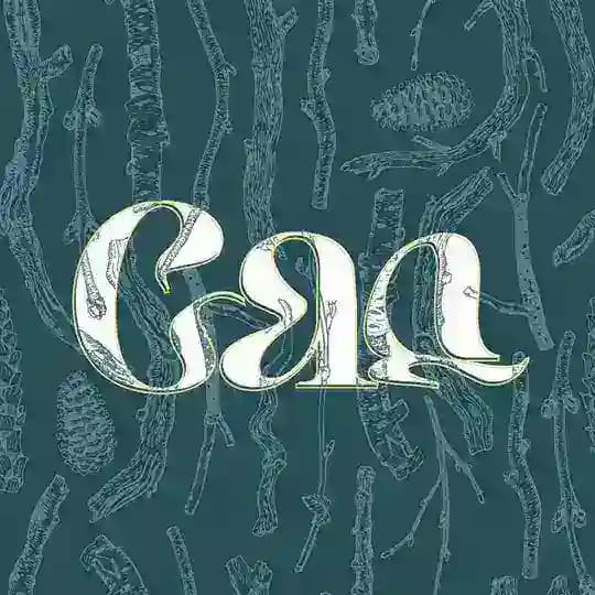 Сад