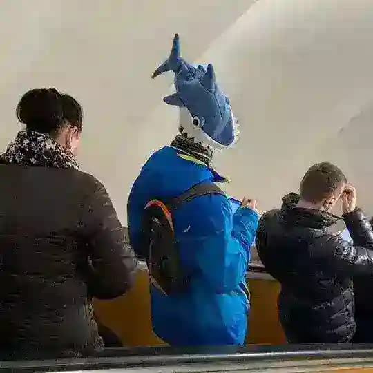 Колыбель эволюции Z