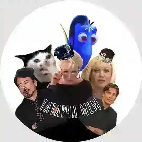 Татарча мем