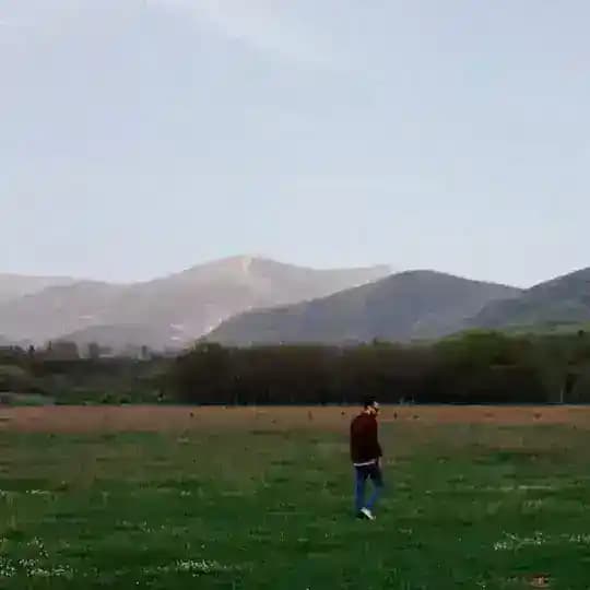 телеволны