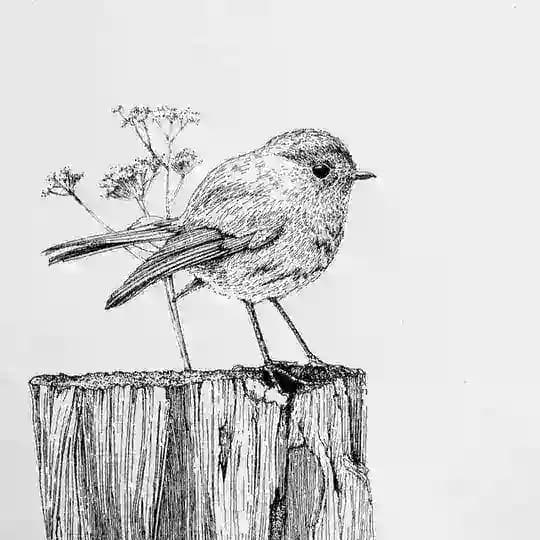 tettykorem_art