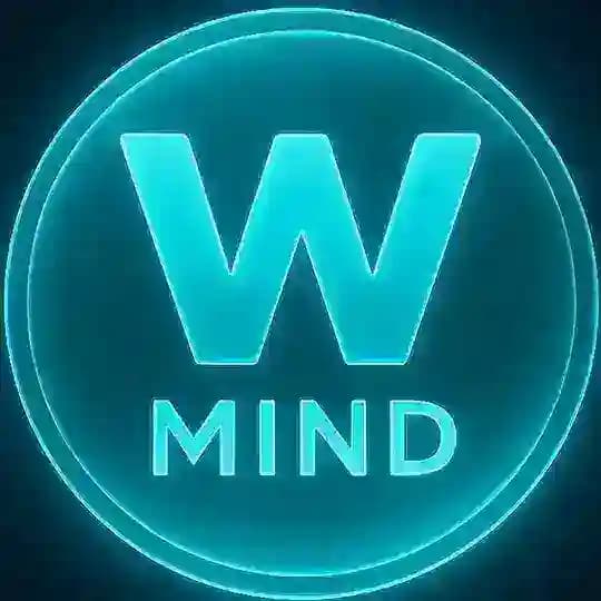 Wonderful Mind