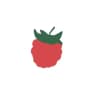 the raspberry ♡