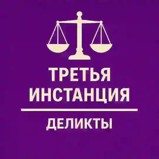 3-я инстанция: деликты