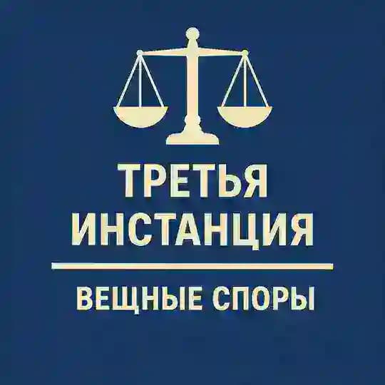 3-я инстанция: вещные споры