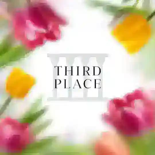 Third Place