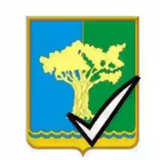 ТИК Амурского района