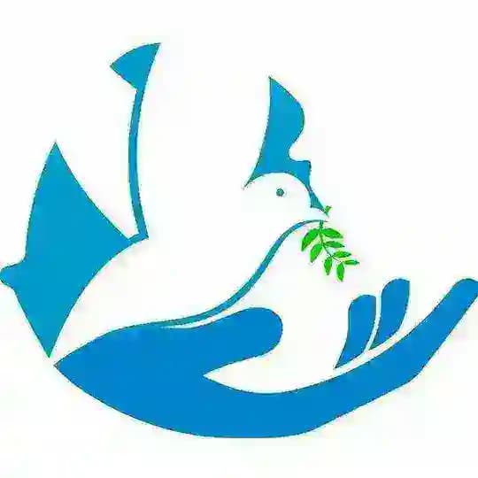 TIKVAH-MAGAZINE Profile