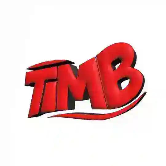 Минск 18+ || TiMB