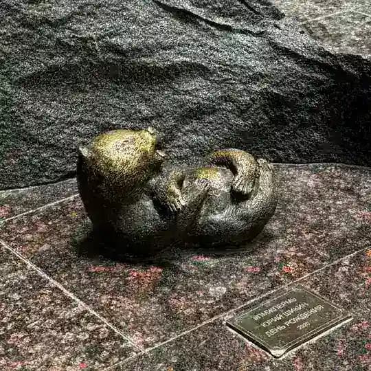 точки на карте Profile