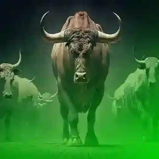 توفان سیگنال بورسی