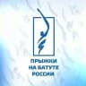 Прыжки на батуте России