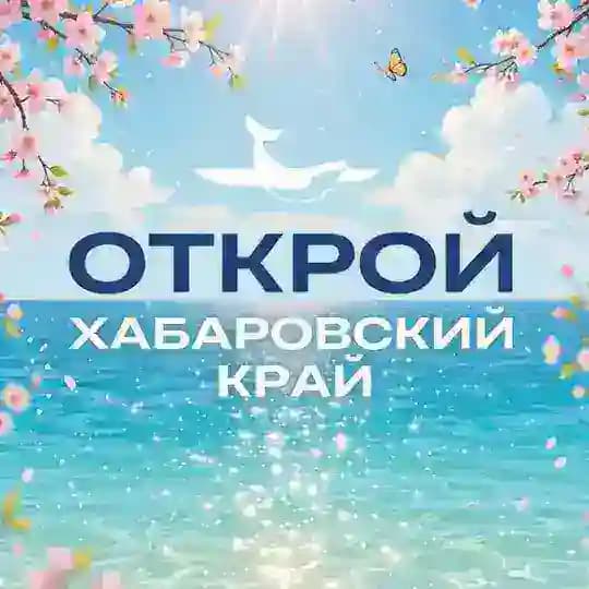 Туристский информационный центр. Открой Хабаровский край