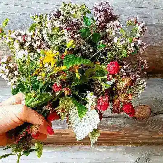 Травяной чай из Удмуртии 🌿