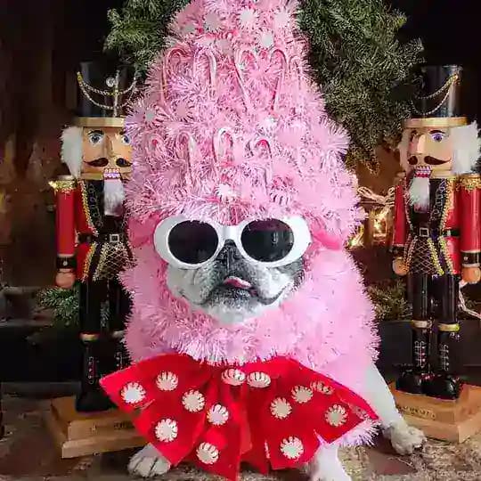 Тренд Вотчина Profile