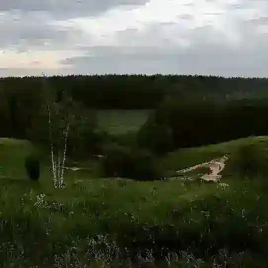Превращения и Поглощения