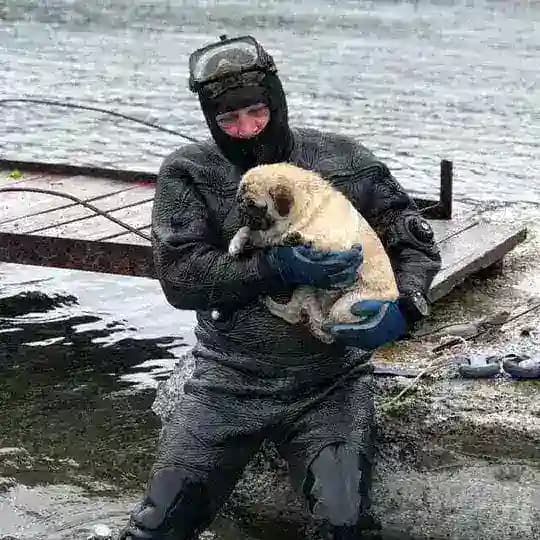 Красота Японского моря.