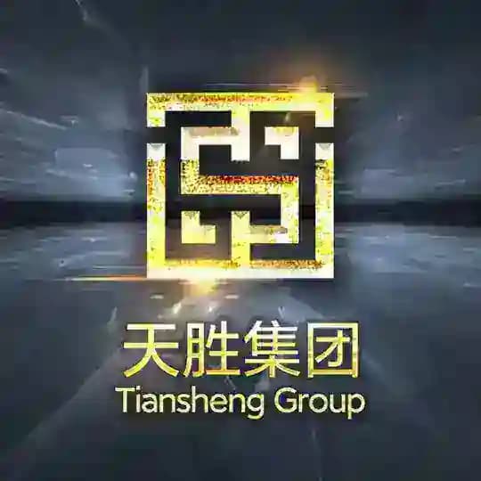 天胜集团@tsjt