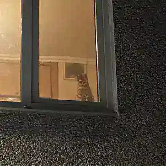 Опечатка была фатальна