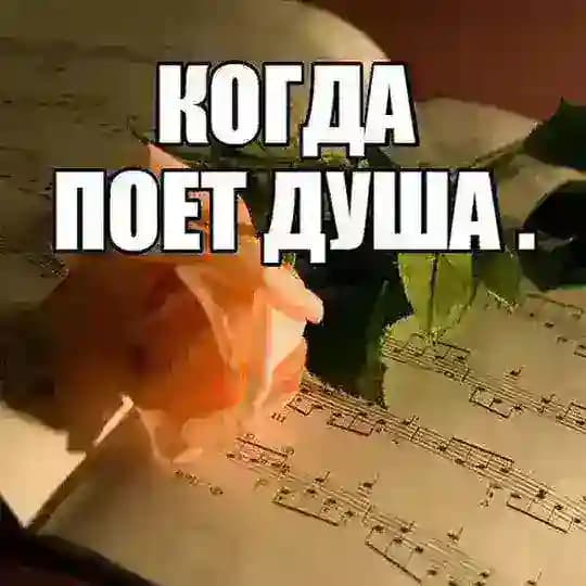 VOSTOK LIFE 💗 ❤️🎵2026 МЕЛОДИЯ ТВОЕЙ ДУШИ❤️