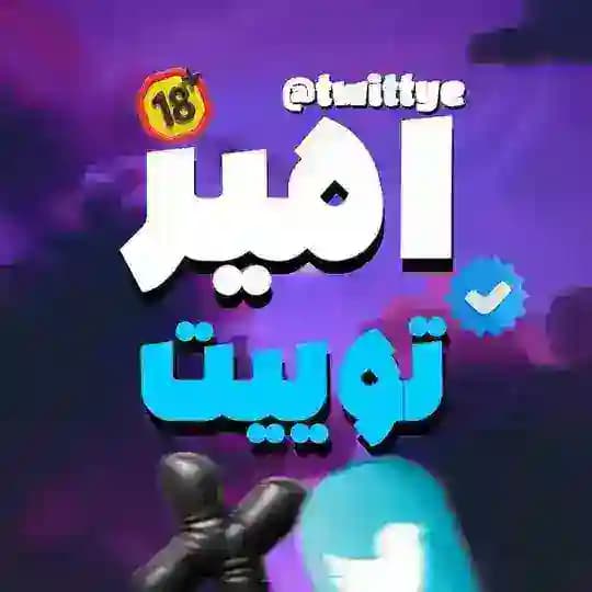 امیرتوییت