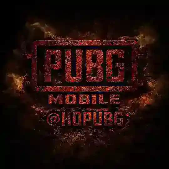PUBG Store