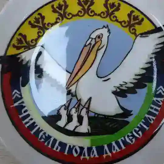 Учитель года Республики Дагестан Т-канал