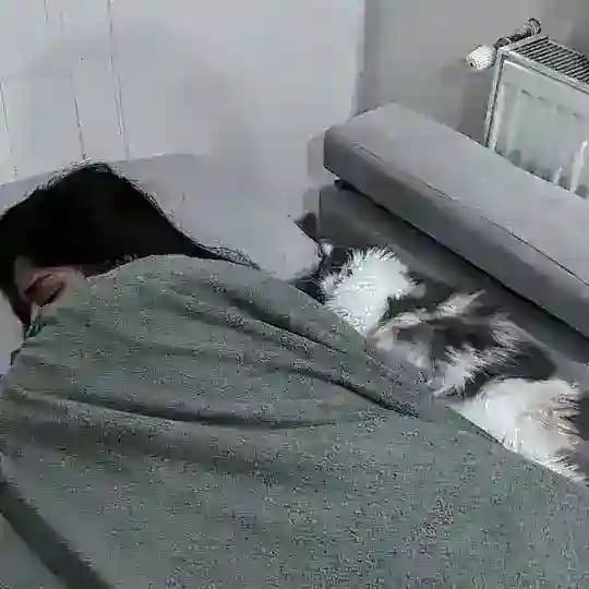 ابر